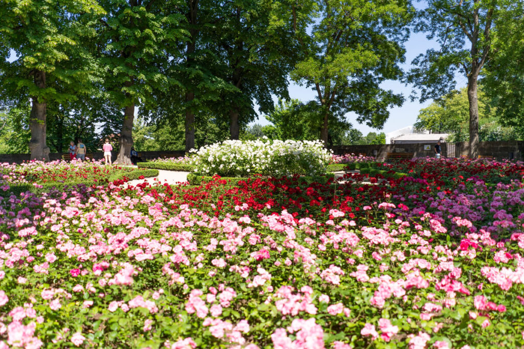 Burggarten Kaiserburg