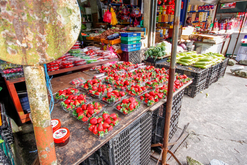 Fruit & Vegetables Cameron Highlands