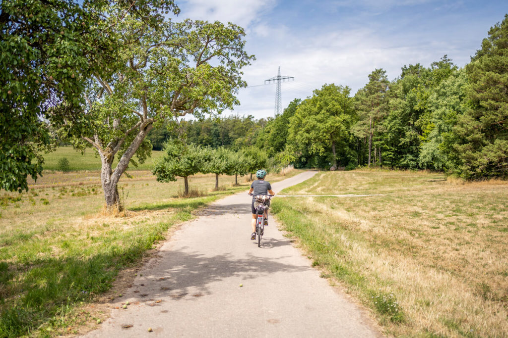 Odenwald-Madonnen-Radweg_1 Велосипедна прогулянка в Баден-Вюртемберзі