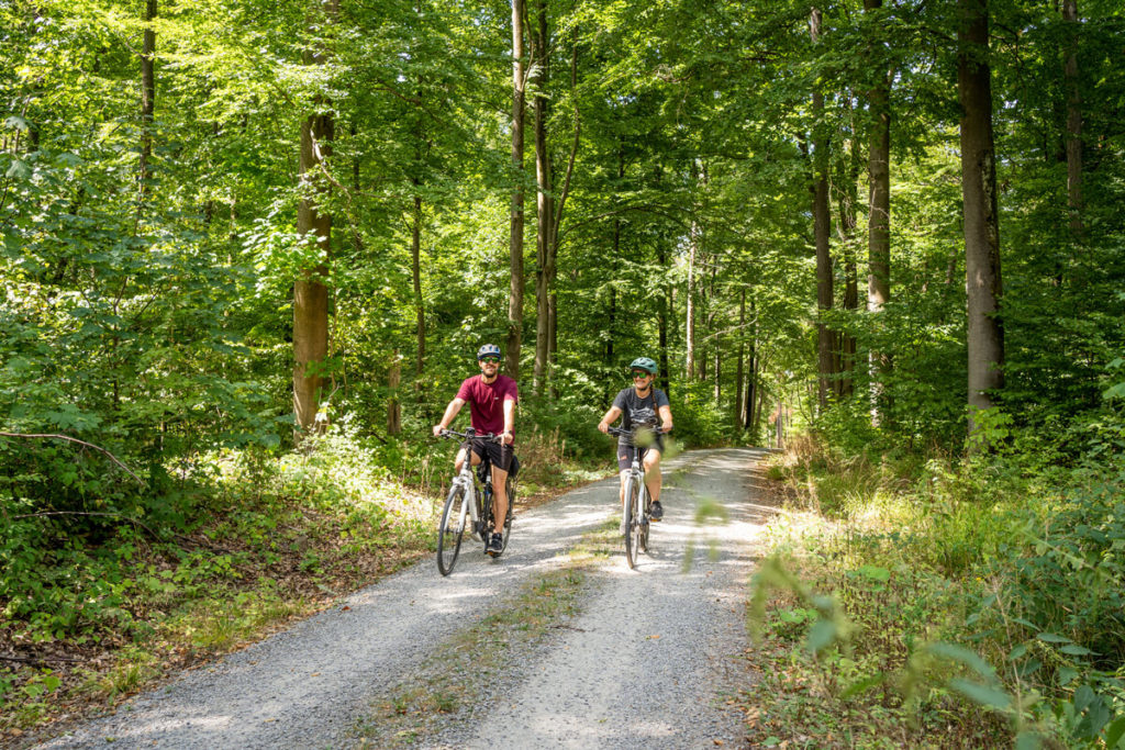 Odenwald-Madonnen-Radweg_5 Велоспорт у Баден-Вюртемберзі