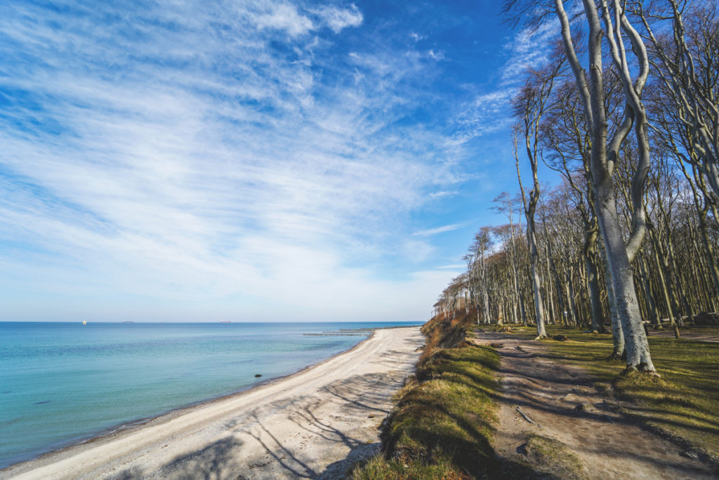 Ostsee-Gespensterwald-Nienhagen