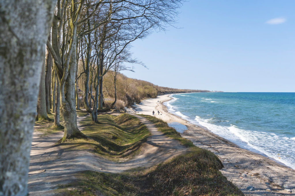 Ostseebad Heiligendamm Gespensterwald Ostseeküstenradweg 