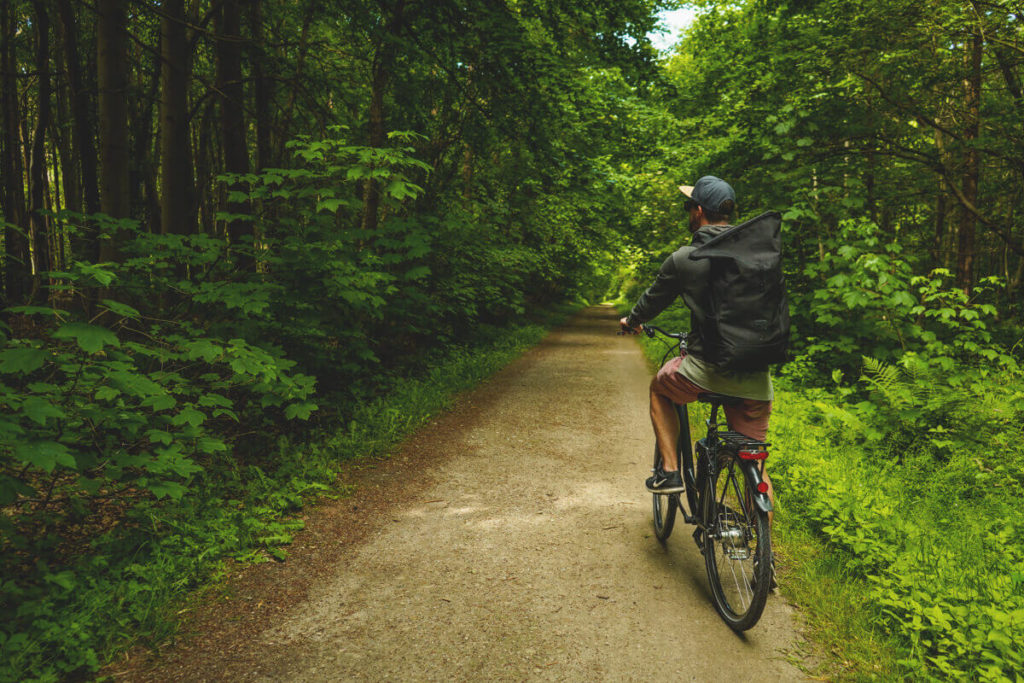 Ostseebad Kühlungsborn Stadtwald Fahrradtour