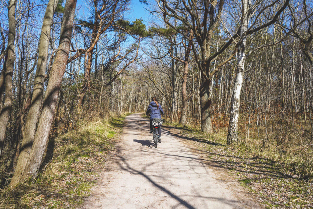 Ostseekuestenradweg-graal-mueritz-fahrradfahren