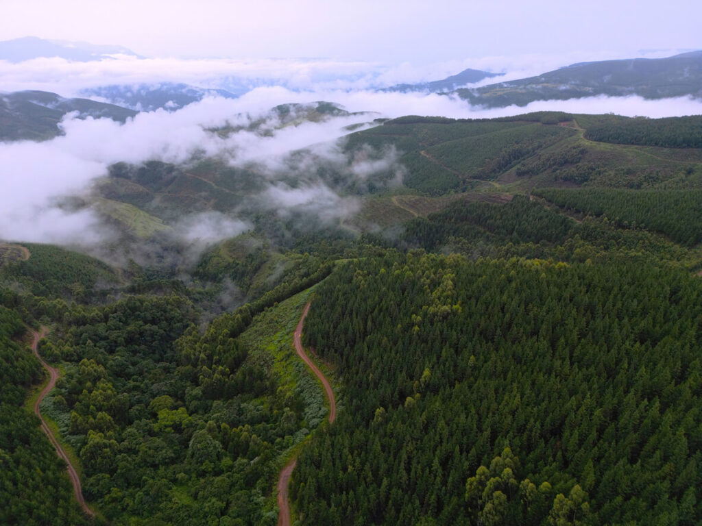 Long Tom Pass