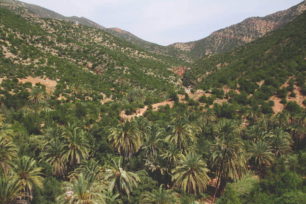 Paradise-Valley-Marokko-Agadir-Taghazout-Oase-Tal
