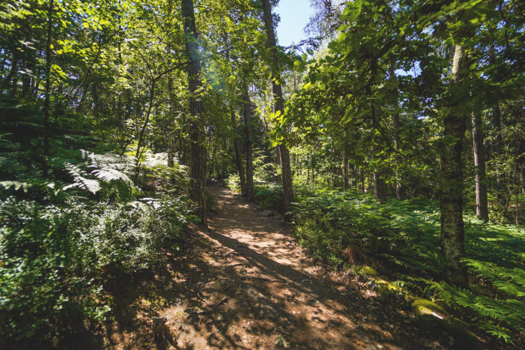 Pfaffenstein-Wanderwege-zur-Barbarine