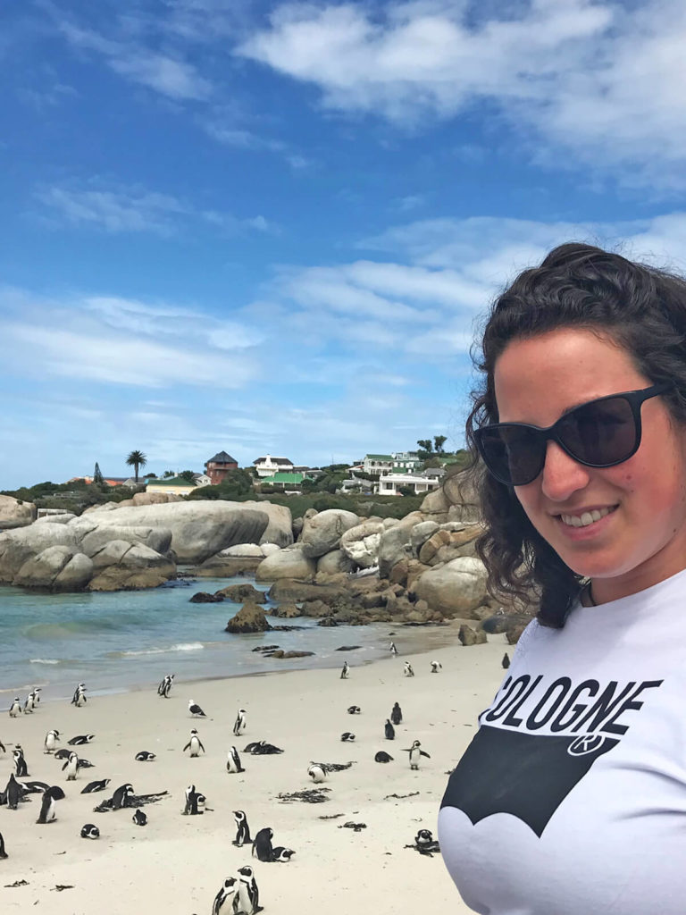 Pinguine-Suedafrika-Foxy-Beach-1