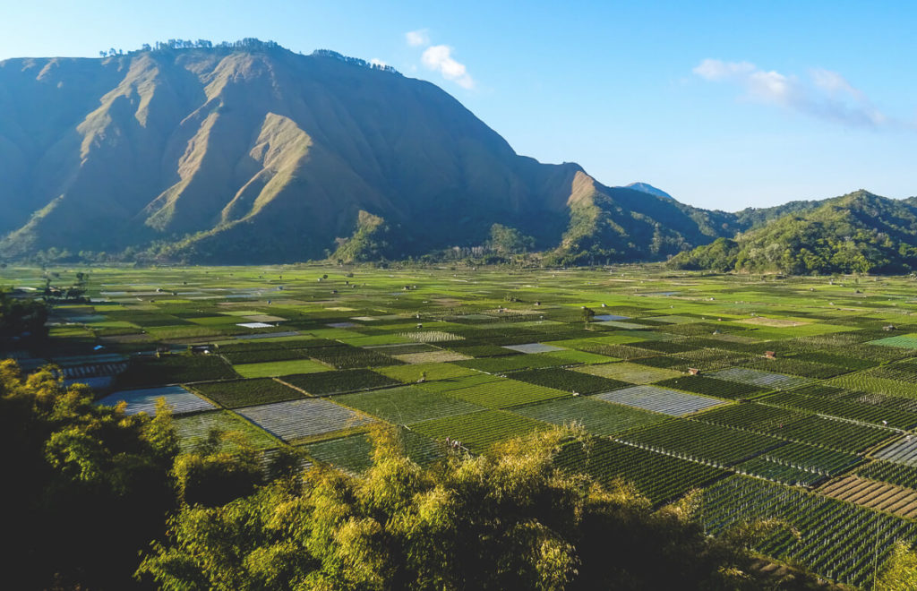 Plantagen-beim-Dor-Lombok-Tippsf