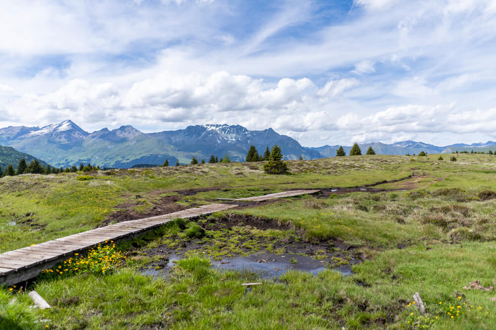 Plateau-Hochmoor-Plamort-Panzersperren-2