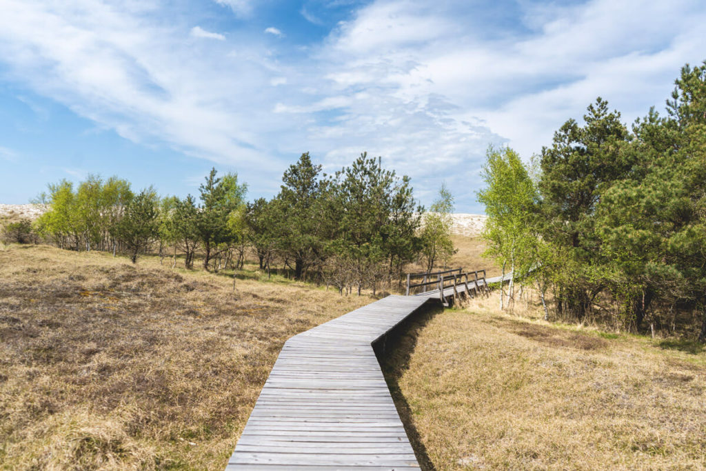 Pramort-Hohe-Duene-Holzweg-Nationalpark