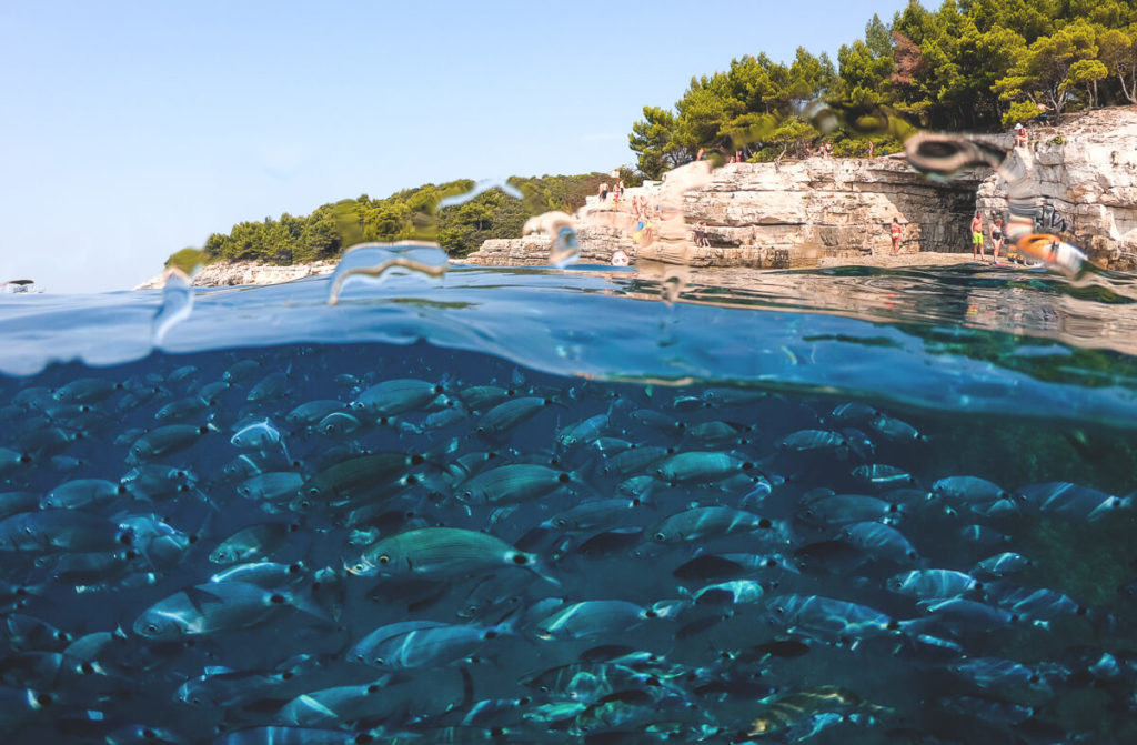 Pula-Highlights-Ausflug-Kajak-Bucht-Wasser-1