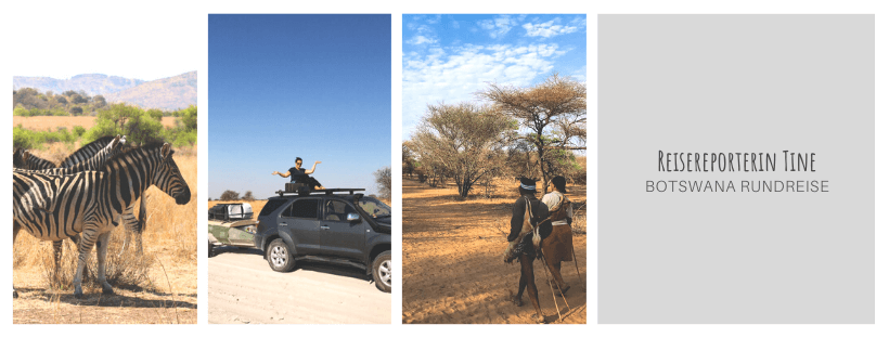 Reisereporter-Botswana-Reisebericht-Rundreise