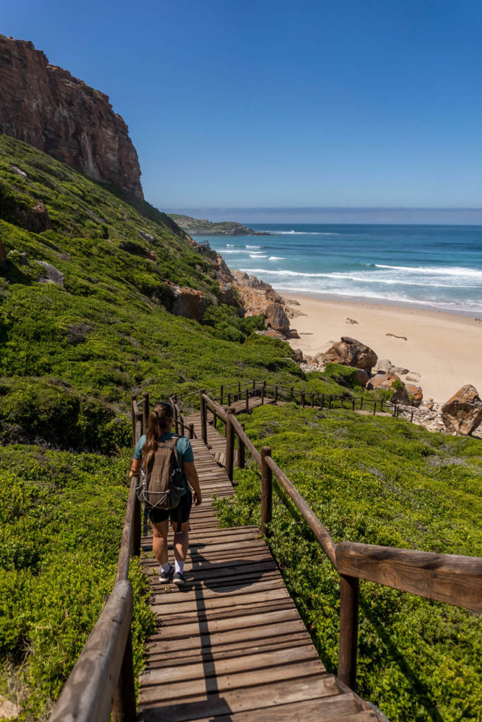 Robberg Beach View Hike "The Gap"