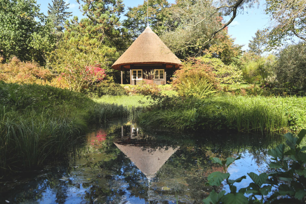 Rostock Sights Botanical Garden Pond