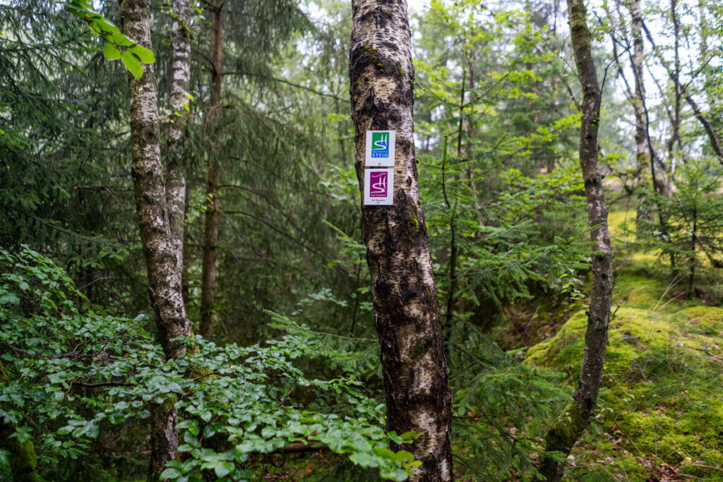 Saar-Hunsrück-Steig hiking trail marking