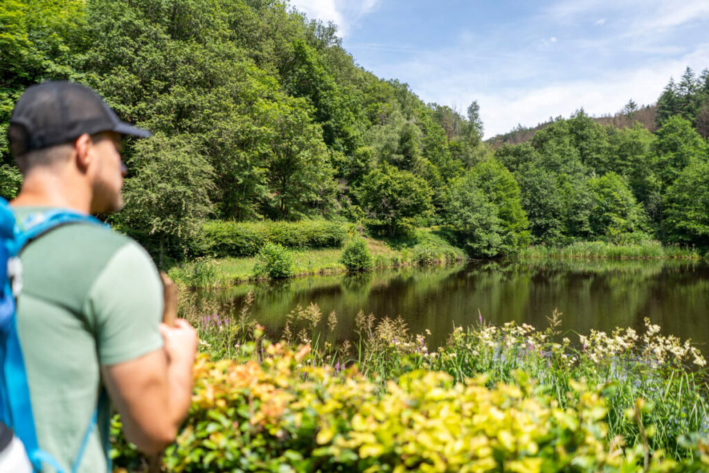 Pond in the Saarhölzbach Valley