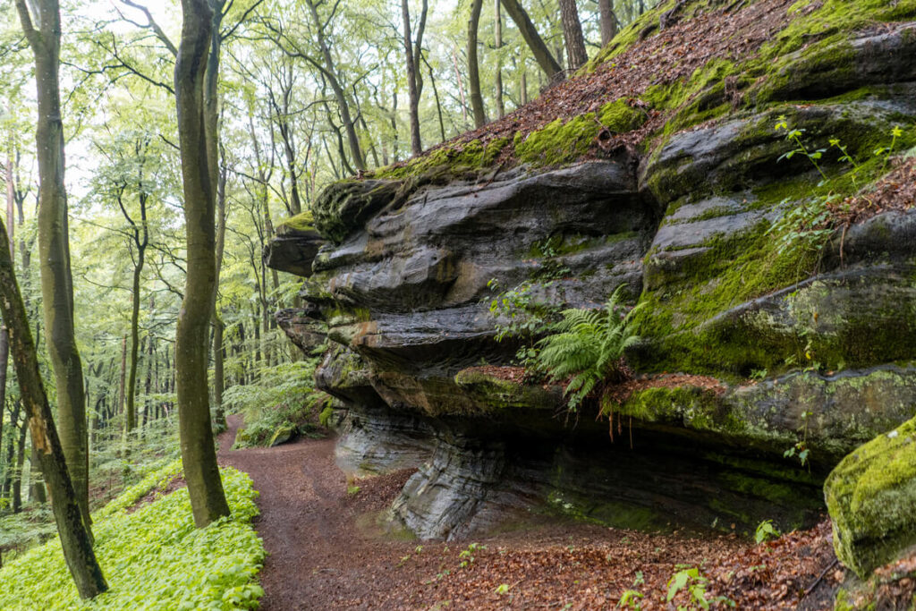 Bliesgau Biosphere Reserve Kirkeler Tafeltour
