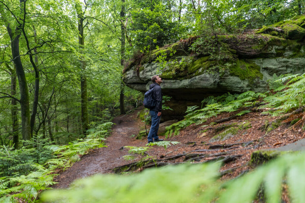 Kirkeler Tafeltour Saarland Bliesgau