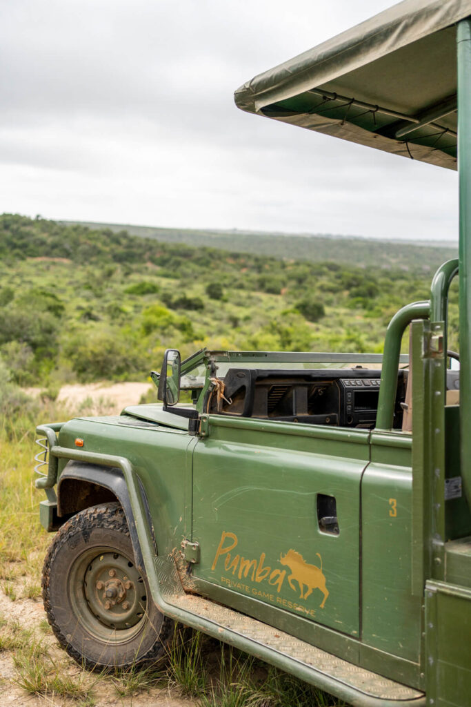 Pumba Private Reserve Safari