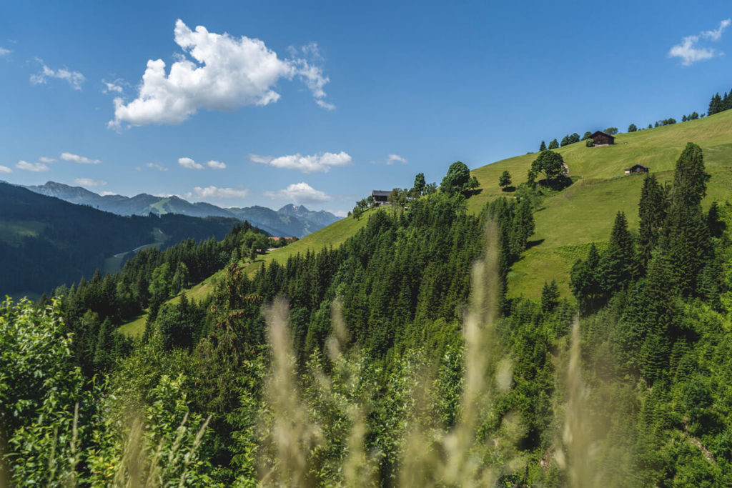 Salzburger-Land-Flachau-Wagrain-Aussicht
