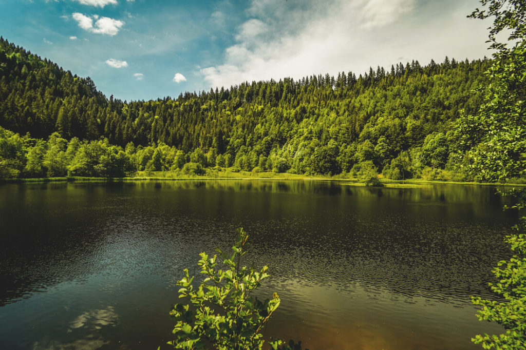Sankenbachsee-Baiersbronn-Schwarzwald