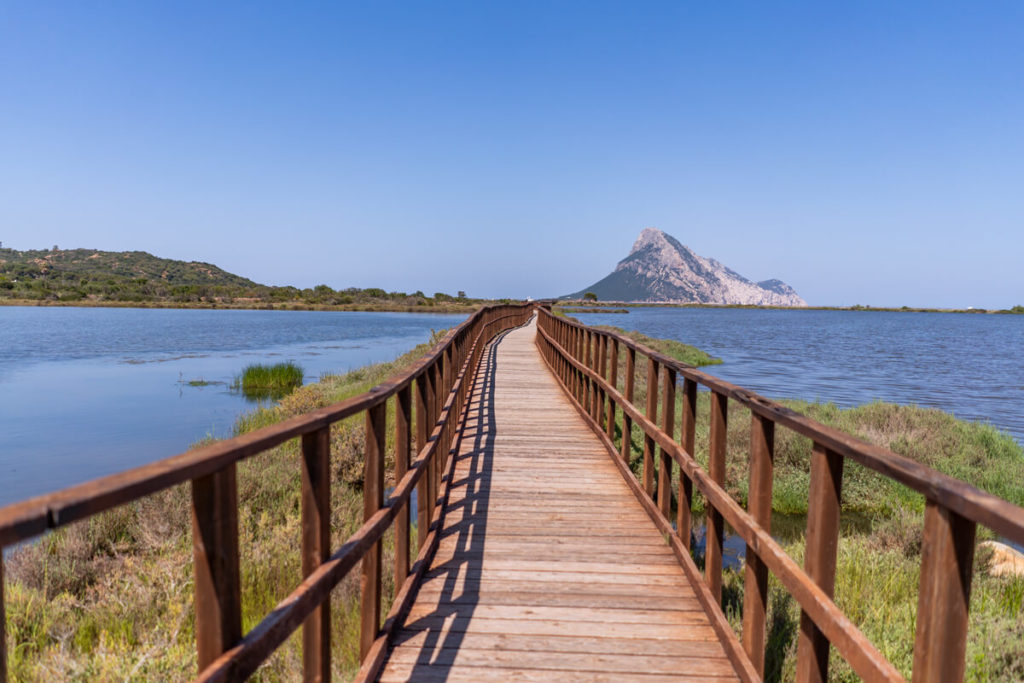 Sardinien-Osten-Porto-Taverna-Holzsteg