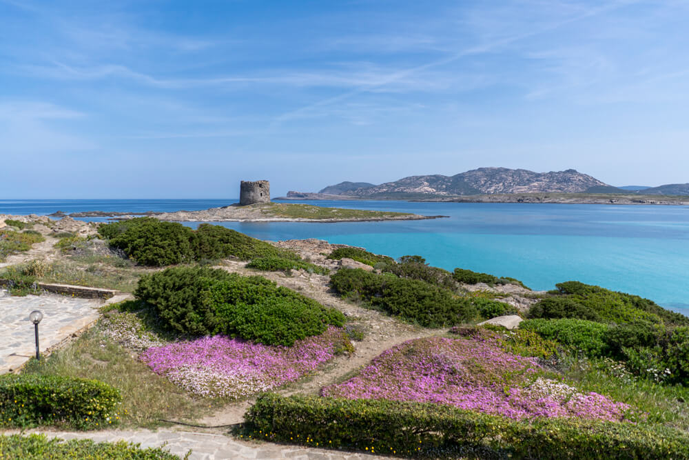 Sardinien-Sehenswuerdigkeiten-Norden-Stintino-La-Pelosa_1