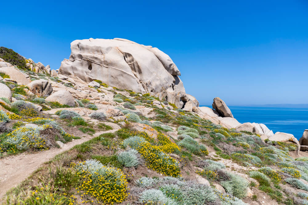 Sardinia Sights-capo-testa-rocks