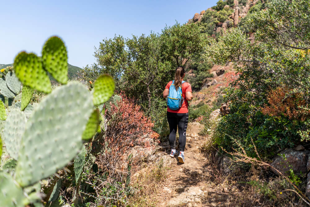 Monte Ferru hike