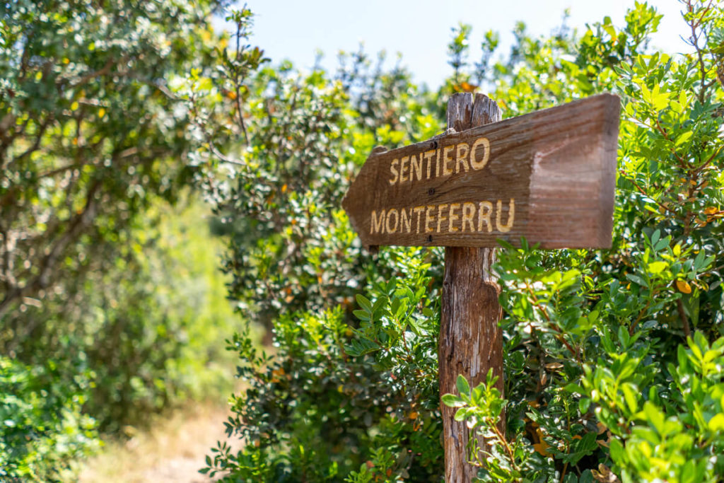 Sardinien-Sehenswuerdigkeiten-im-Sueden-Monte-Ferru-Wanderung_6