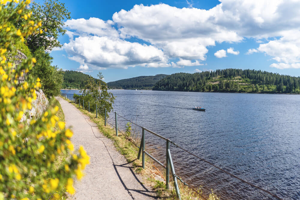 Schluchsee-Suedschwarzwald-Highlights-Wanderung