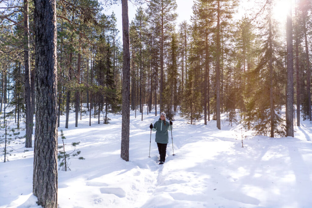 Oulanka National Park Snowshoeing