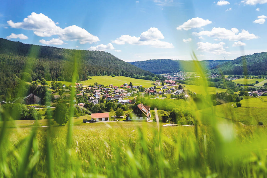 Schwarzwald-Baiersbronn-Wanderung-Satteleisteig-Geniesserpfad