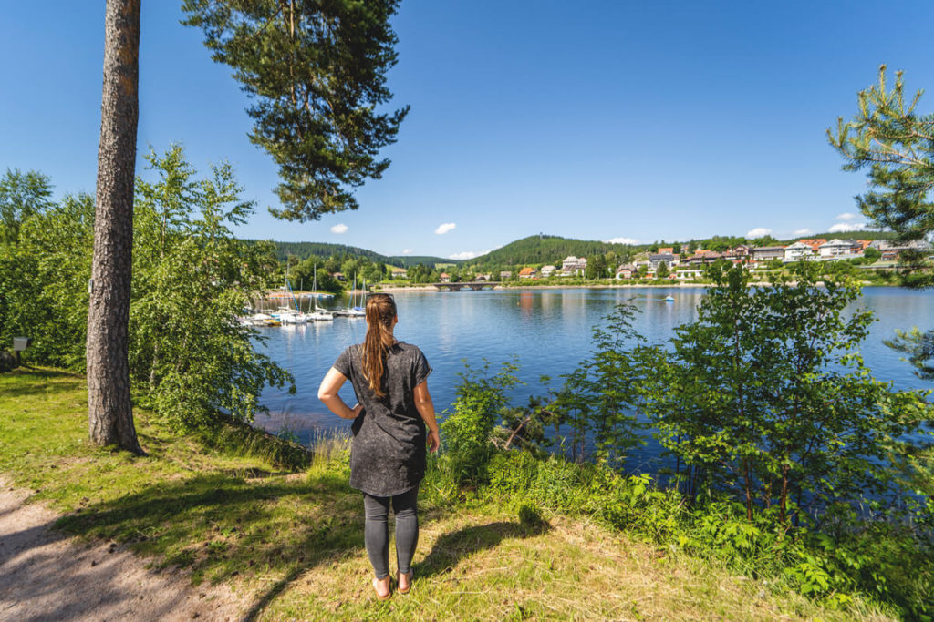 Schwarzwald-Highlights-Schluchsee-Amalienruhe