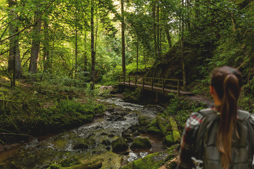 Schwarzwald-Wutachschlucht-Wanderung-Highlights