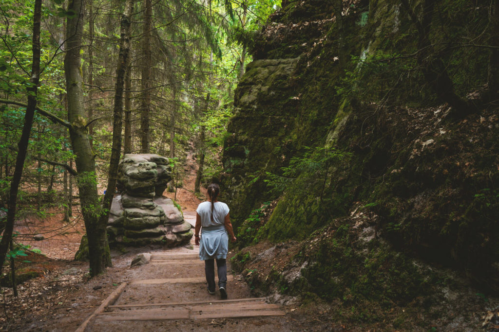 Schwedenlocher Hike Steps