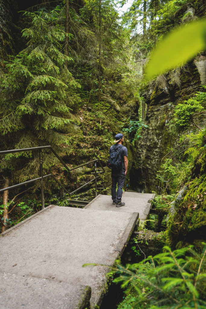 Schwedenloecher-Wanderung-Saechsische-Schweiz-Schlucht-6