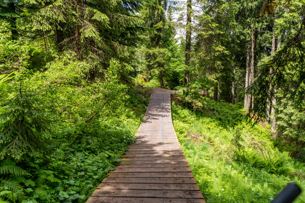 Schweinestberg-Trail-Fieberbrunn-Pillerseetal-3