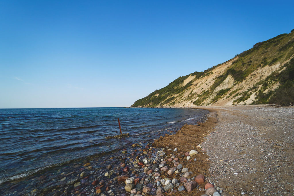 Steilkueste-Insel-Hiddensee-Dornbusch