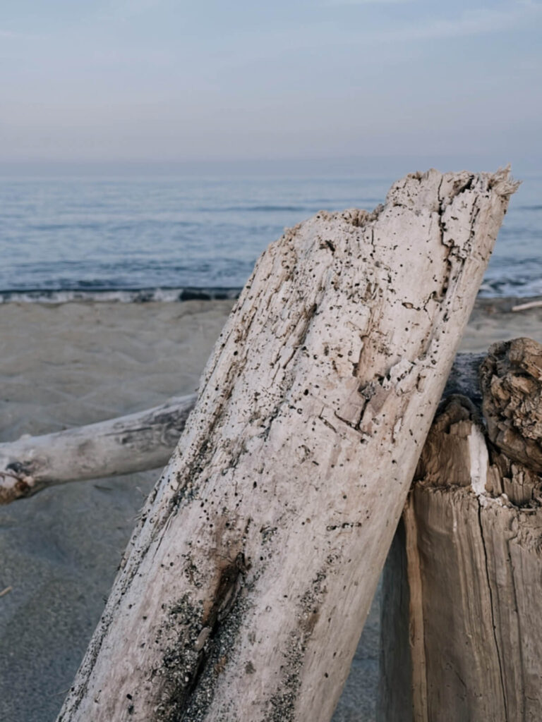Beach Aleria Corsica