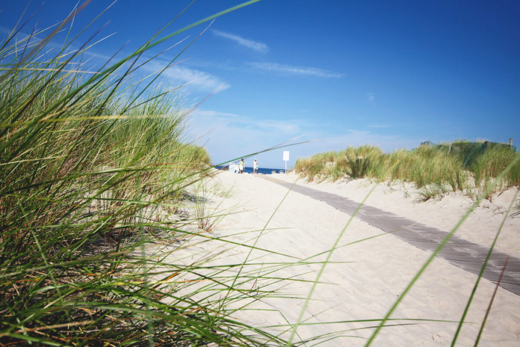 Dünen Warnemünde Strand