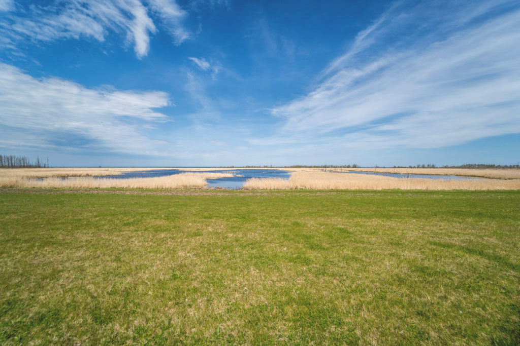 Sundische-Wiesen-Zingst-Pramort-Fischland-Darss