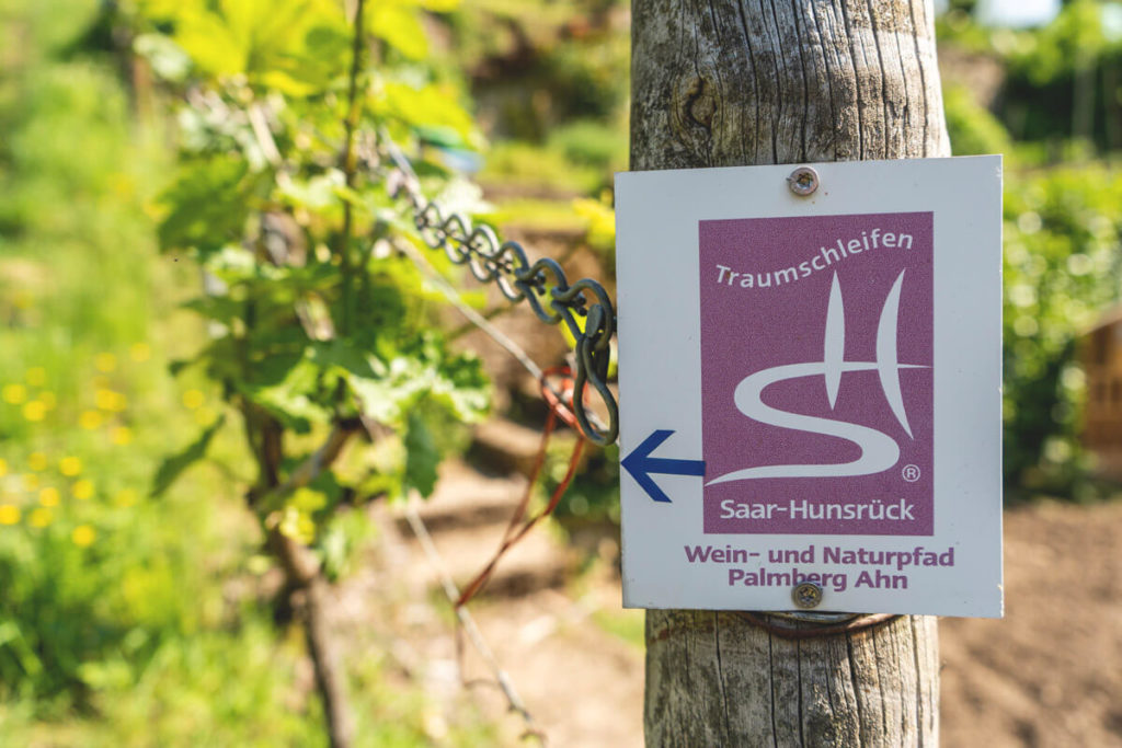 Вино та природна стежка Dream Loop Palmberg Ahn