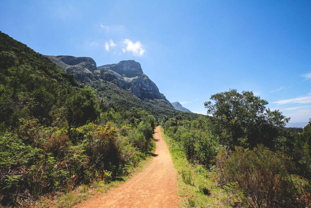 Tafelberg-Kapstadt-Wanderung