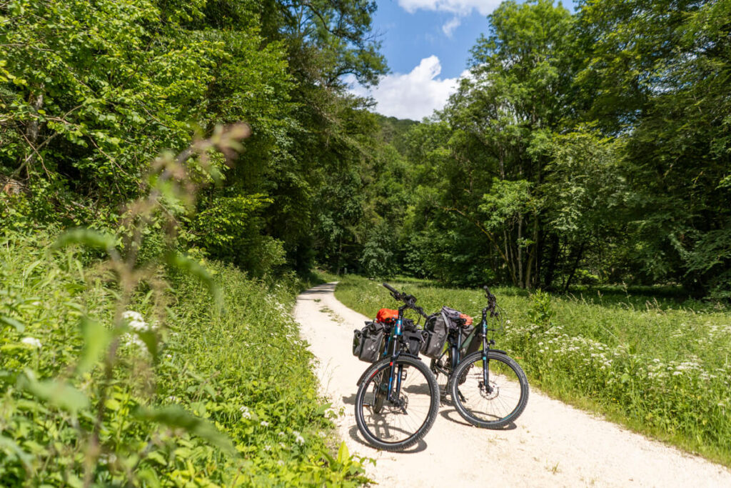 Tiefental Wald