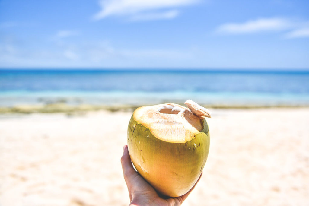 Tonga-Reise-Strand-Kokosnuss