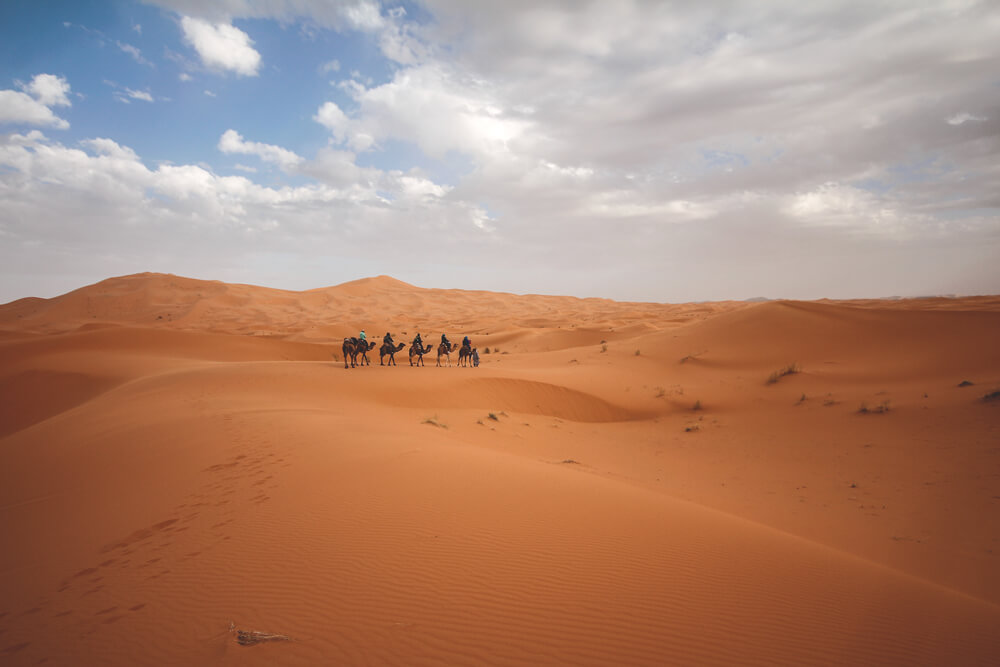 Tour-Kamele-Merzouga-Marokko-Sahara-Wueste