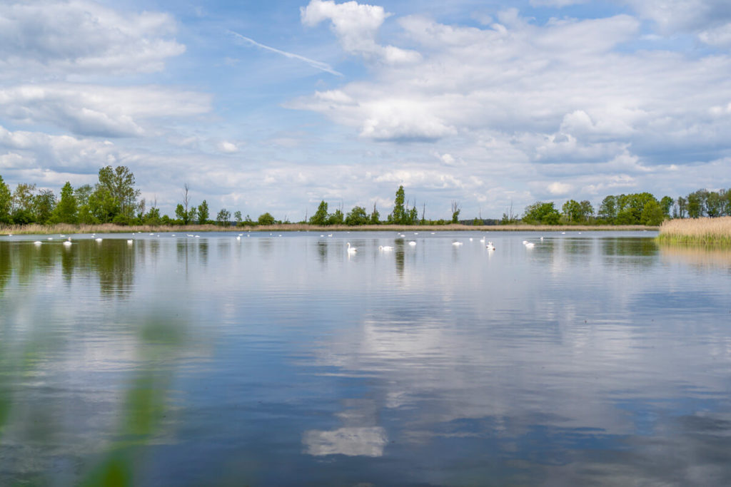 UNESCO-Biospharrenreservat Oberlausitzer Heide- und Teichlandschaft