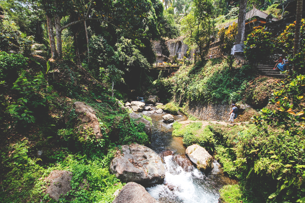 Ubud-Umgebung-Tempel-Natur